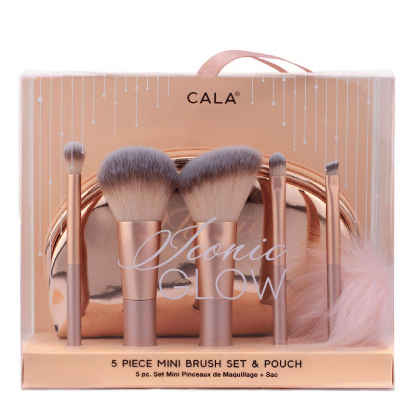 SET DE BROCHAS 5 PIEZAS CALA